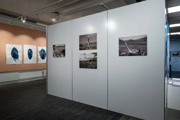 Kart og Terreng utstilling