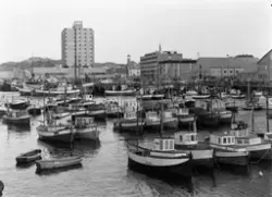 SAS - Royal (hotell)