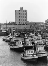 SAS - Royal (hotell)