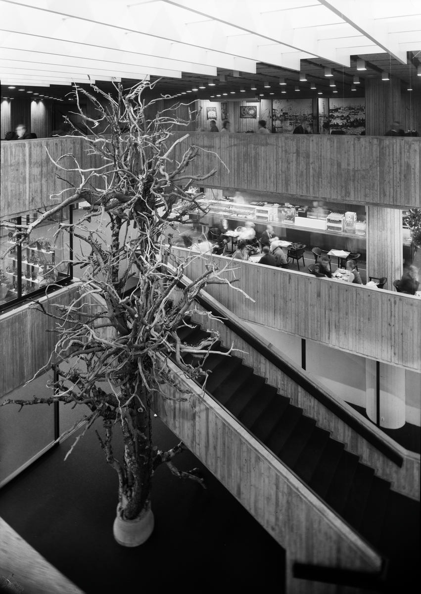 SAS - Royal (hotell) Bodø, ark. Cappelen & Rodahl, jan - 72