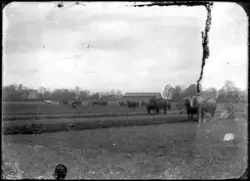 Bygdefotografen Ture Sjöö