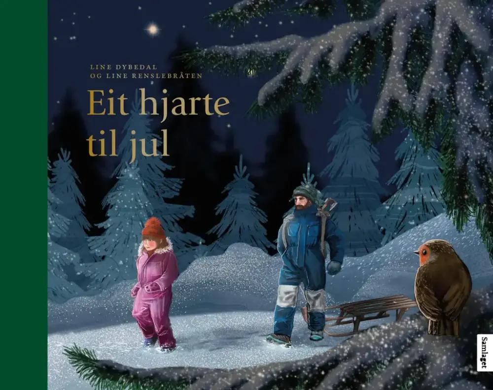 Bilde av bokomslaget til boka Eit hjarte til jul
