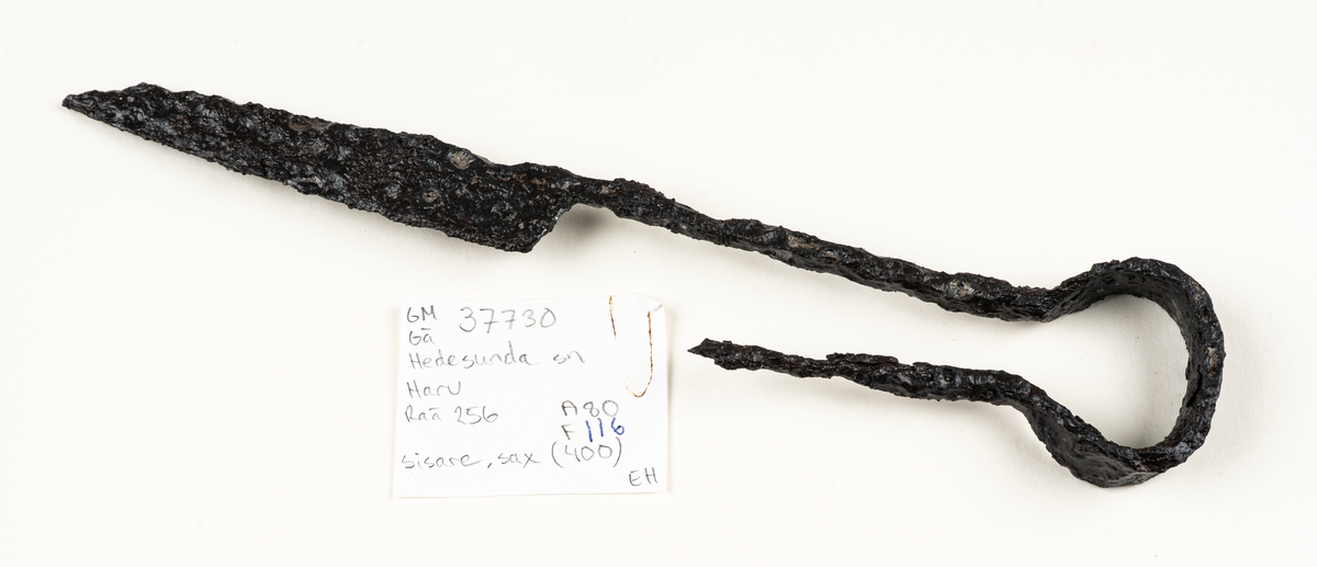 Sisare av järn. Konserverad.