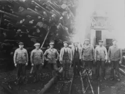 Greåker Cellulosefabrikk. Mannskap står foran tømmerlunnen o