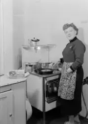 Reklame for Findus frossenfisk