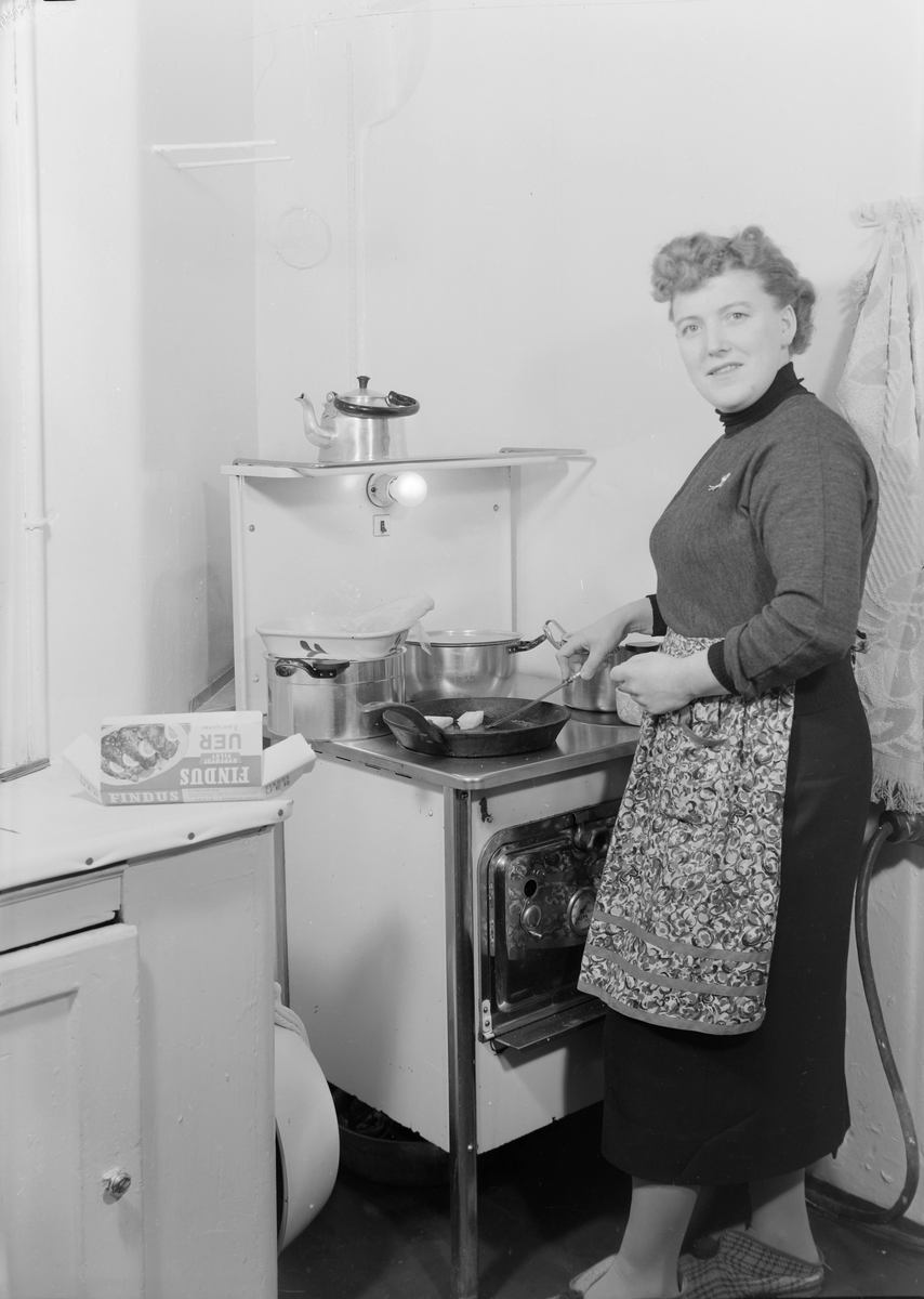 Reklame for Findus frossenfisk