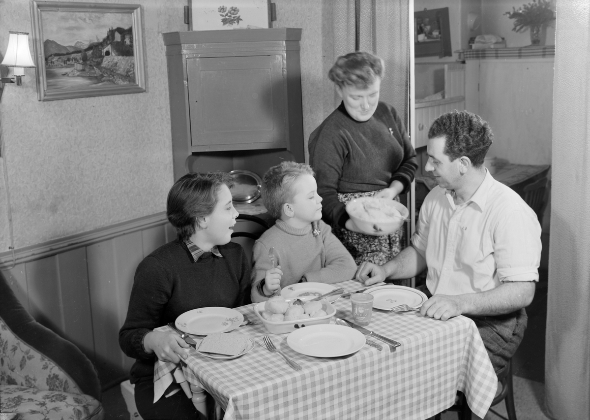 Reklame for Findus frossenfisk