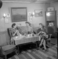 Reklame for Findus frossenfisk