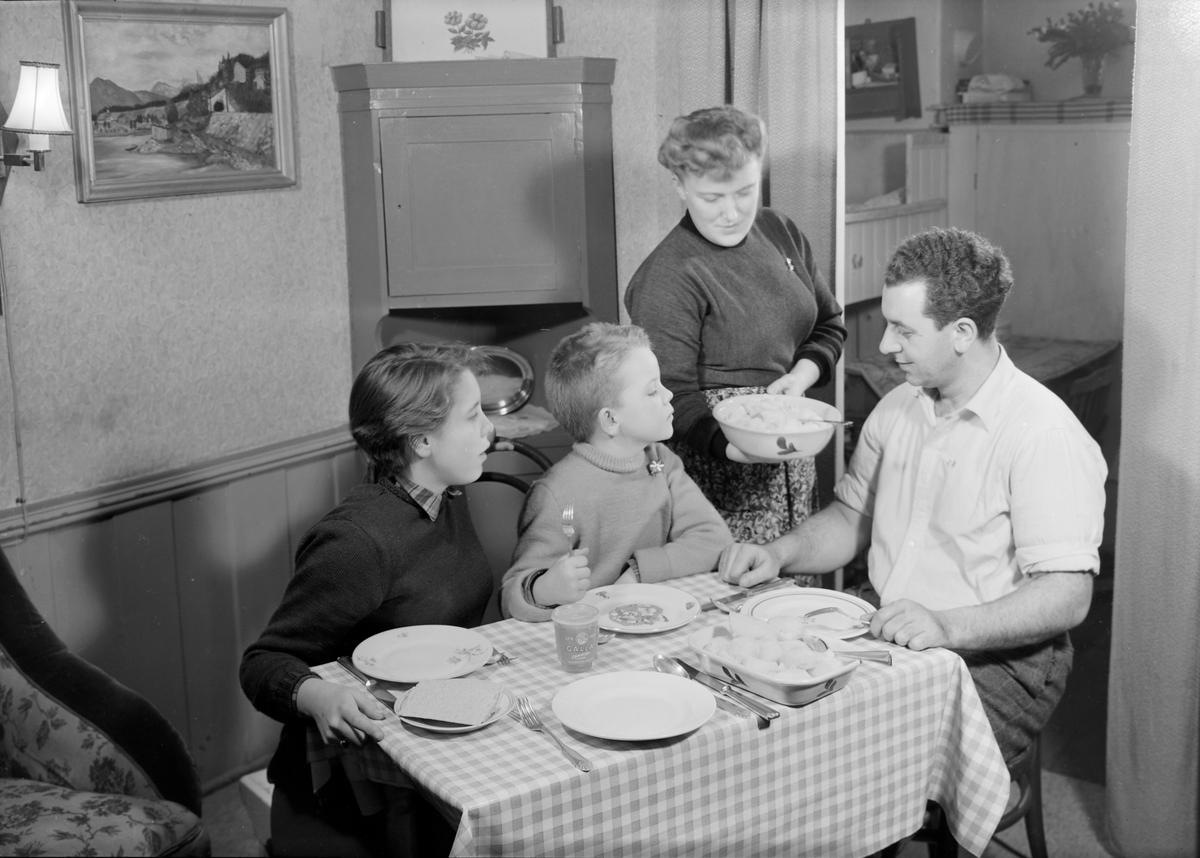 Reklame for Findus frossenfisk