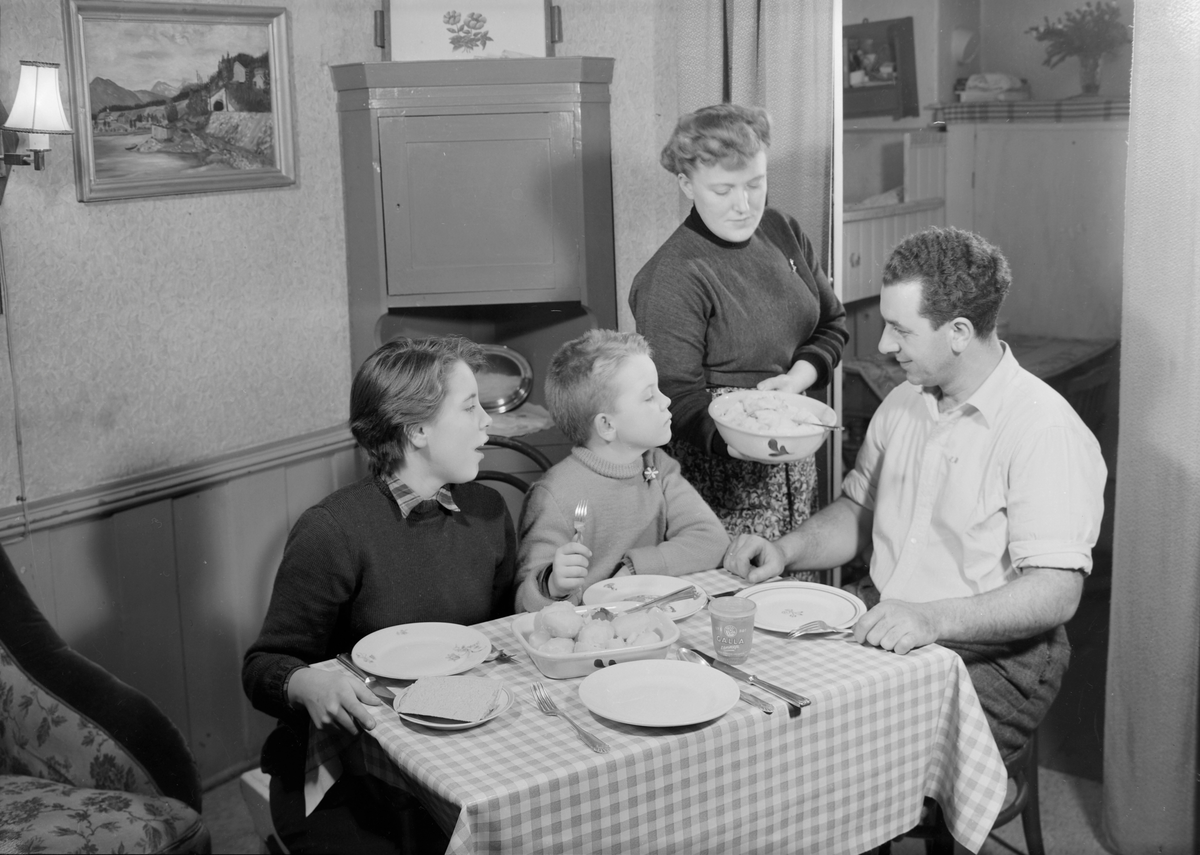 Reklame for Findus frossenfisk