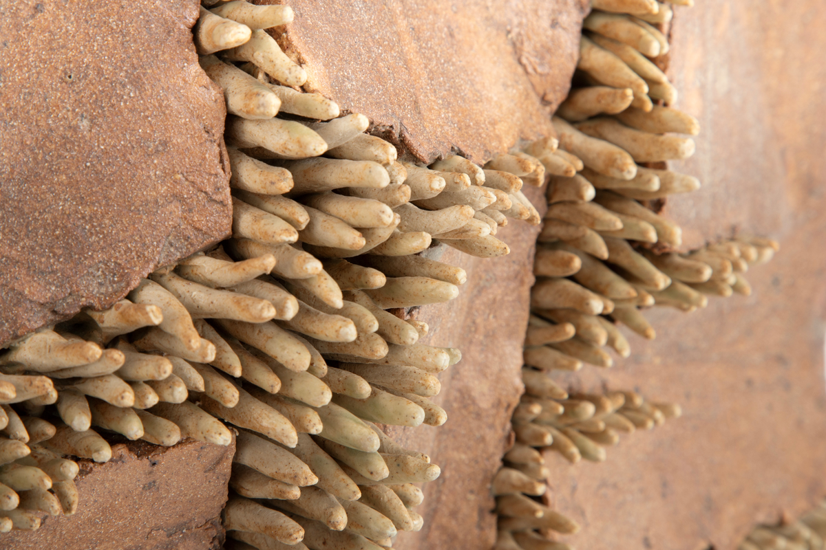 Kvadratisk plate i glasert steingods. På platen ser vi "tentakler" som bryter seg gjennom leira, hever den og danner sprekker i flaten. Utmeislet på undersiden med feste for oppheng.