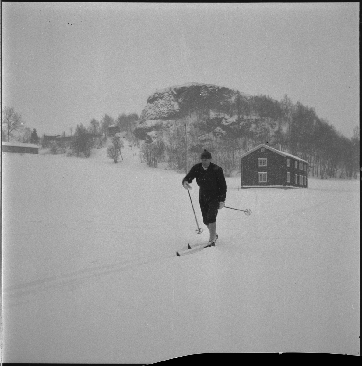 Løypepreparering for Trondheimsrennet