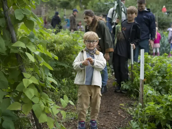 Publikum høster grønnsaker på innhøstningsdagen på Gartneriet