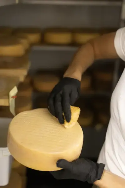 En kvinne vasker over en ost som ligger til lagring. 