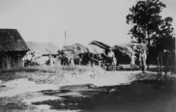 Høyonn på gården Rostad, Rostadveien 58. Gården hadde fire h