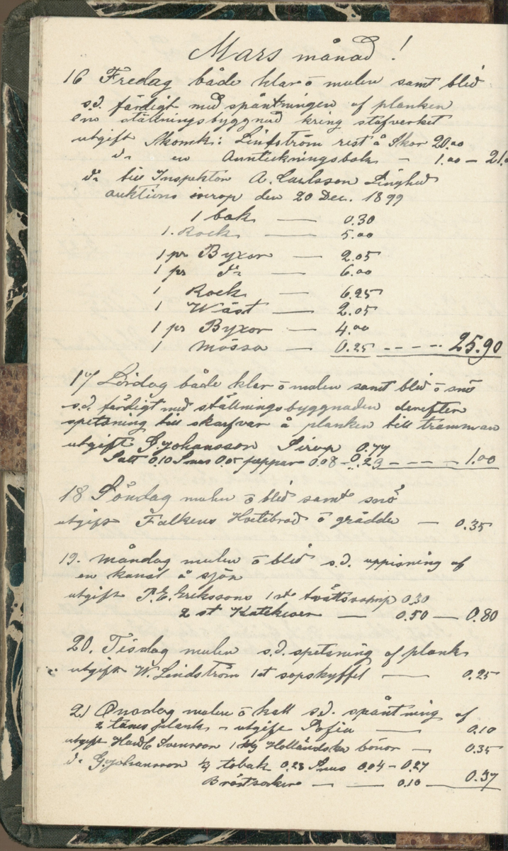 Erik Lindström, Linghed, dagbok 1900-1903