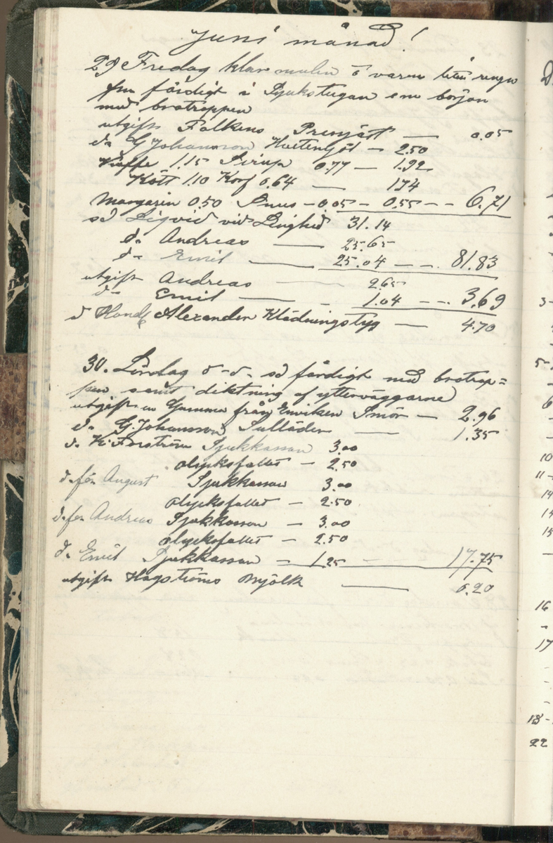 Erik Lindström, Linghed, dagbok 1900-1903