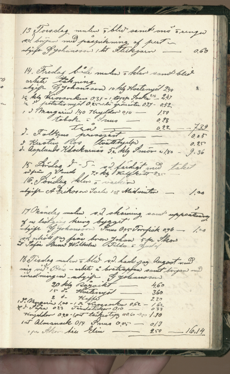 Erik Lindström, Linghed, dagbok 1900-1903