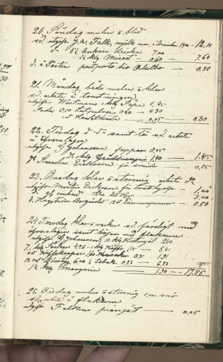 Erik Lindström, Linghed, dagbok 1900-1903