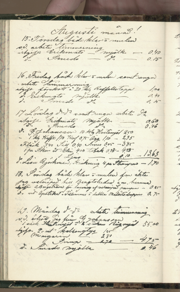 Erik Lindström, Linghed, dagbok 1900-1903