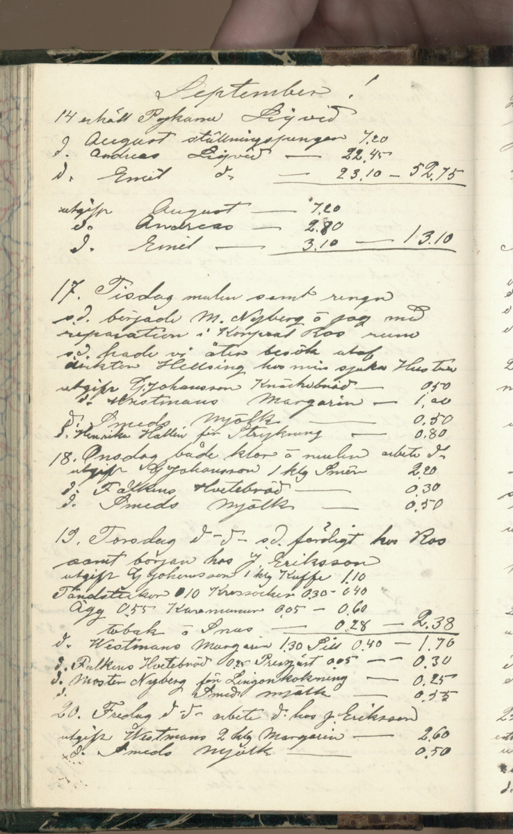 Erik Lindström, Linghed, dagbok 1900-1903