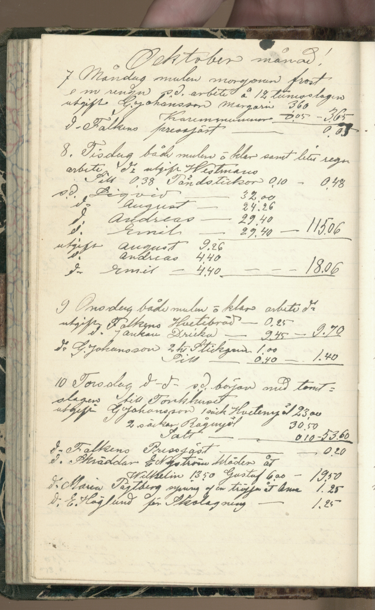 Erik Lindström, Linghed, dagbok 1900-1903