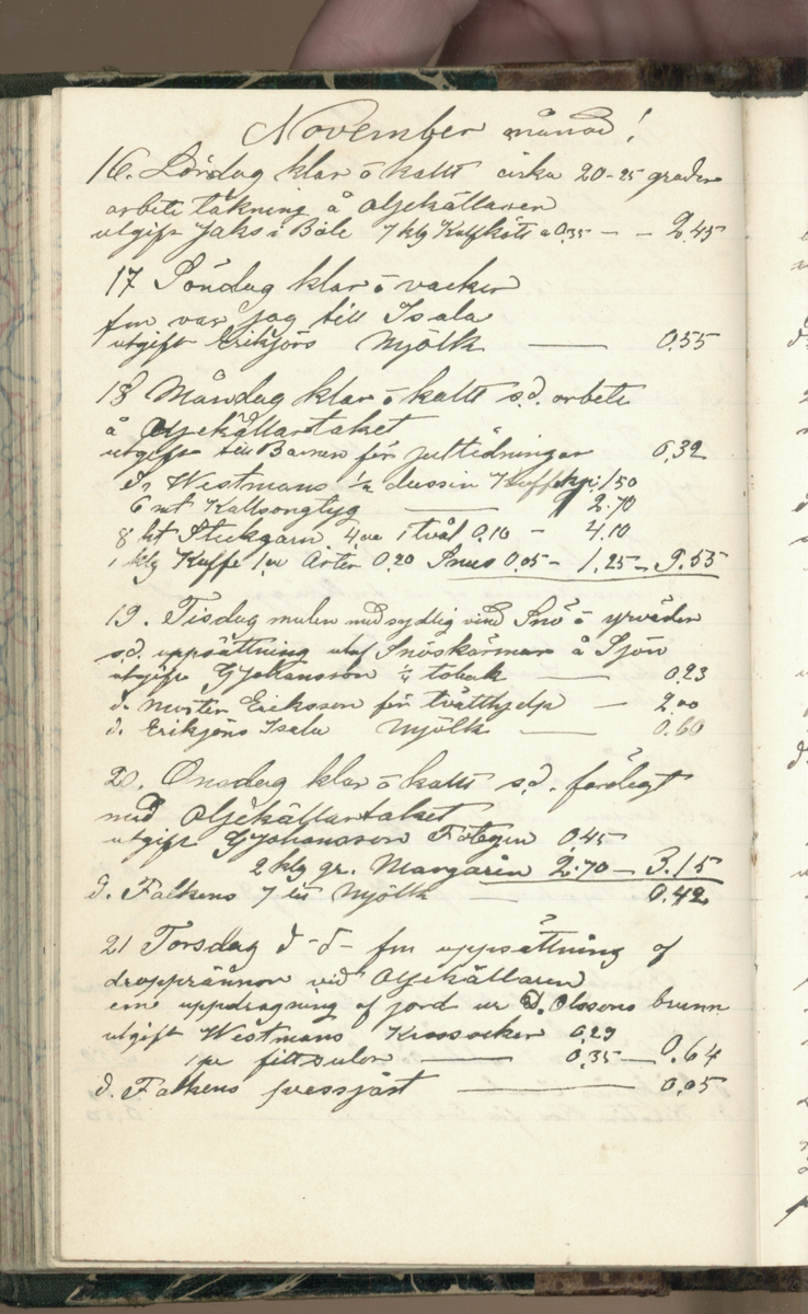 Erik Lindström, Linghed, dagbok 1900-1903