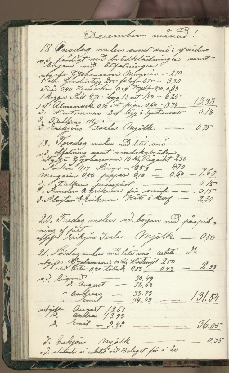 Erik Lindström, Linghed, dagbok 1900-1903