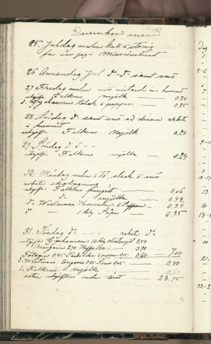 Erik Lindström, Linghed, dagbok 1900-1903