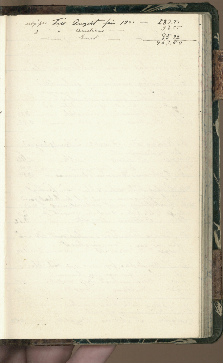 Erik Lindström, Linghed, dagbok 1900-1903