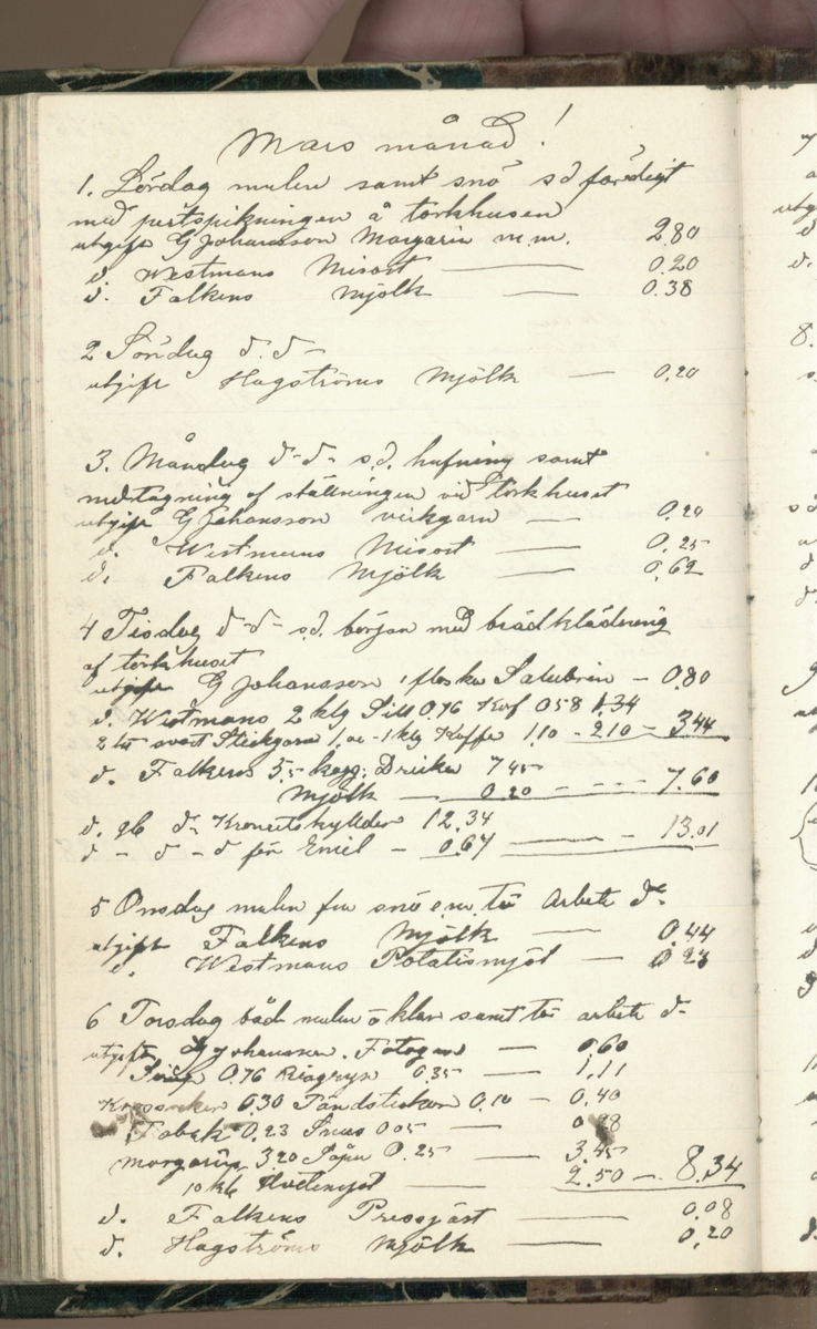 Erik Lindström, Linghed, dagbok 1900-1903