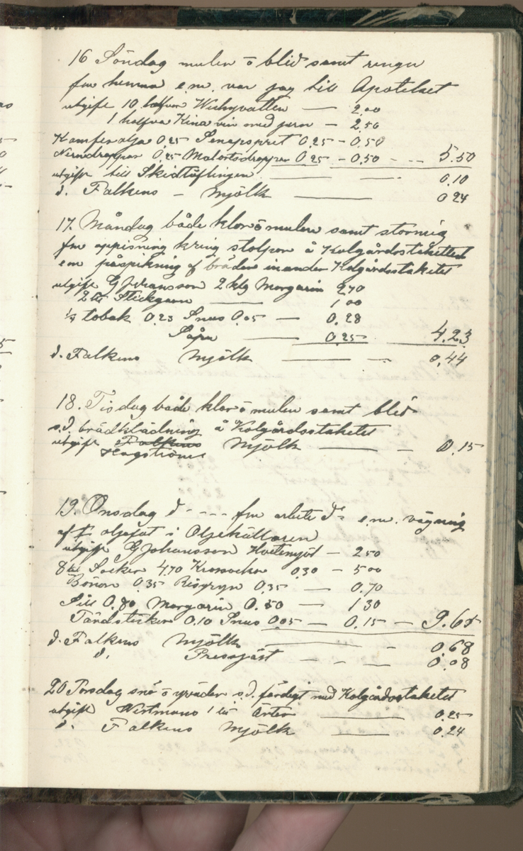 Erik Lindström, Linghed, dagbok 1900-1903