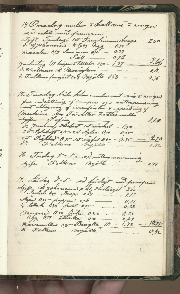 Erik Lindström, Linghed, dagbok 1900-1903