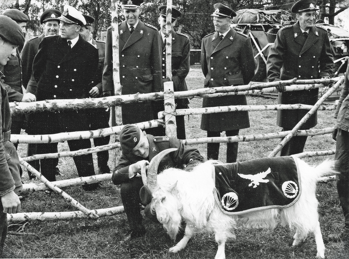 Sex bilder från Totalförsvarets dag under länsutställningen R 68 på arenan i Skövde 1968-06-09. A: Viceamiral Oscar Krokstedt vid en Strv 103. B: Öv Kjell Nordström och vam Oscar Krokstedt. C: Fjs maskot. D: Öv Per Björkman och övlt Bengt Linell. F: Öv Kjell Nordströn, vam Oscar Krokstedt och okänd flygöverste framför en J 35 Draken.