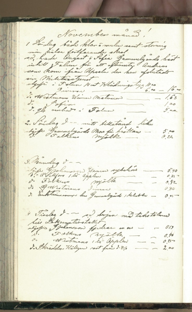 Erik Lindström, Linghed, dagbok 1900-1903