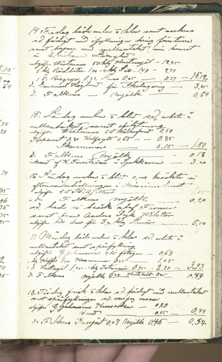 Erik Lindström, Linghed, dagbok 1900-1903