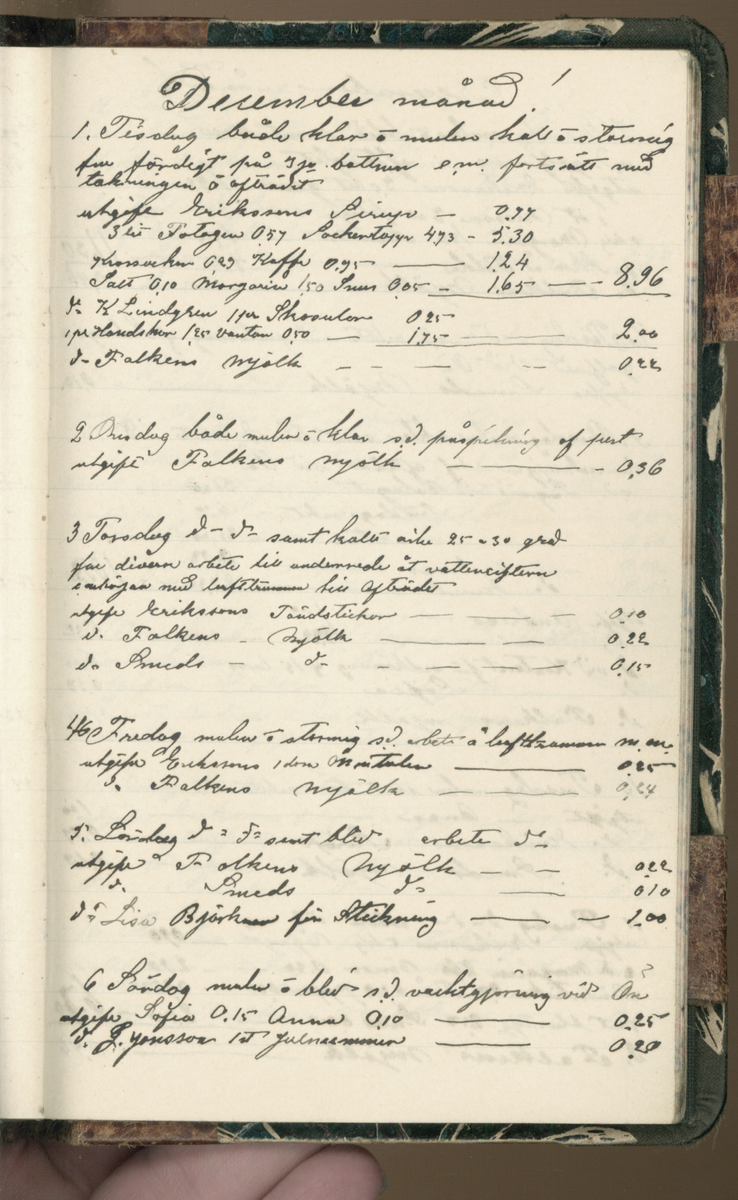 Erik Lindström, Linghed, dagbok 1900-1903