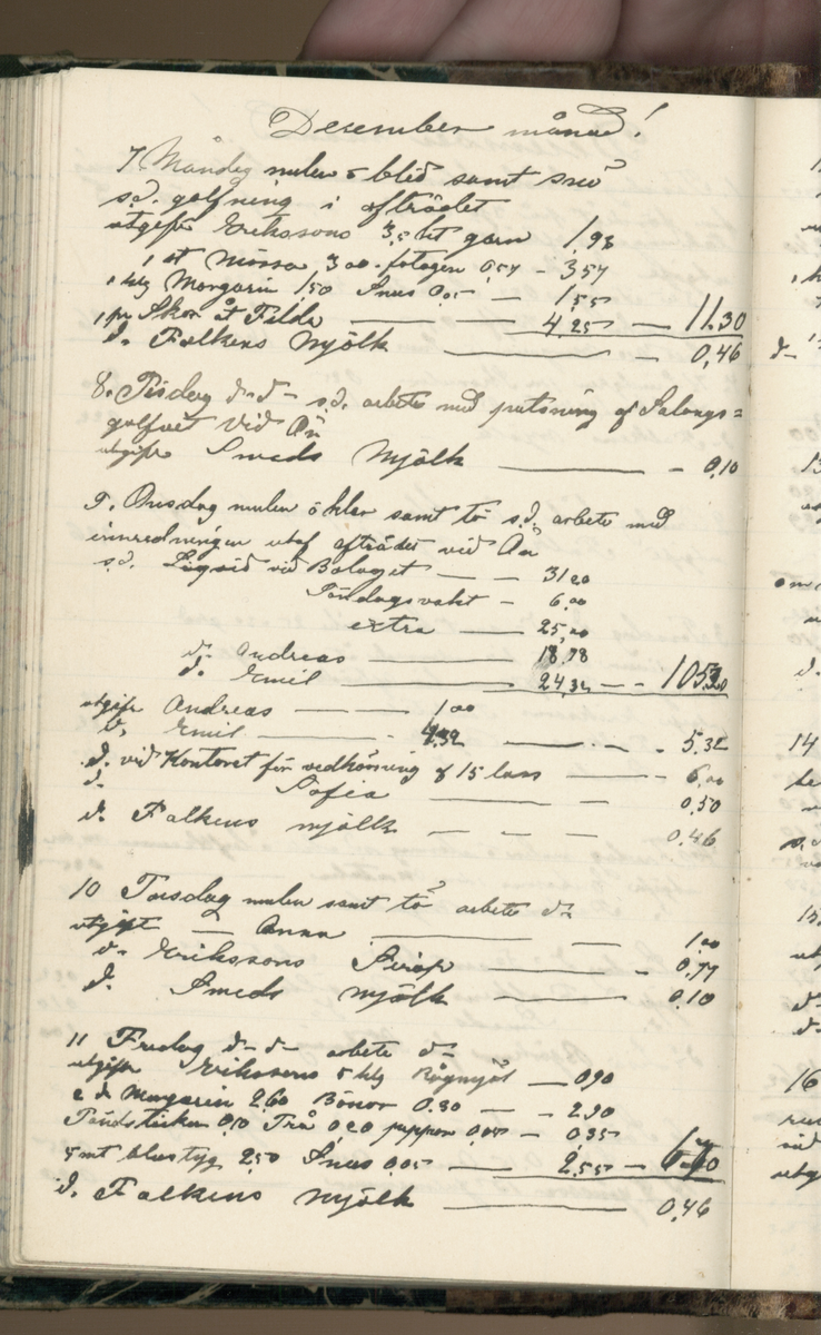 Erik Lindström, Linghed, dagbok 1900-1903