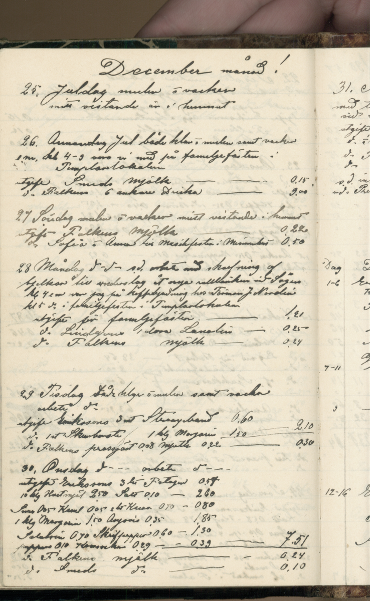 Erik Lindström, Linghed, dagbok 1900-1903