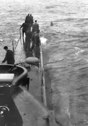 Torpeden skall snaras