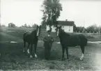 Hjelmqvist står framför gården med sina hästar, Björkhult.