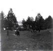 Foto av bivacken vid Mårdnäs beväringsrekrytskolan 1901.