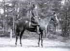Foto av major Schenström sittande på en häst, 1896 (enligt bildtext i album).