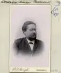 Bokhandlare Assar Ekström inflyttade till Linköping från Lund 1882 för att ta över stadens mest välrenommerade bokhandel. Sahlströms hade varit i välmåga funktion sedan 1839 och grundaren Peter Mathias varit död sedan 1863, men namnet bar ännu värde och skulle så göra in i vår egen tid. Till en början drev Ekström bokhandeln i kompanjonskap med Robert Wilhelm Stahre. Foto 1891.