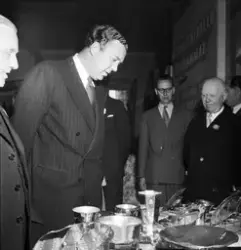 Utställningen vid havet