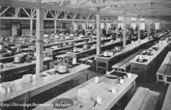 Skaraborgs regemente