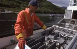 Ombord brønnbåten Edelfisk, utsett av laksesmolt