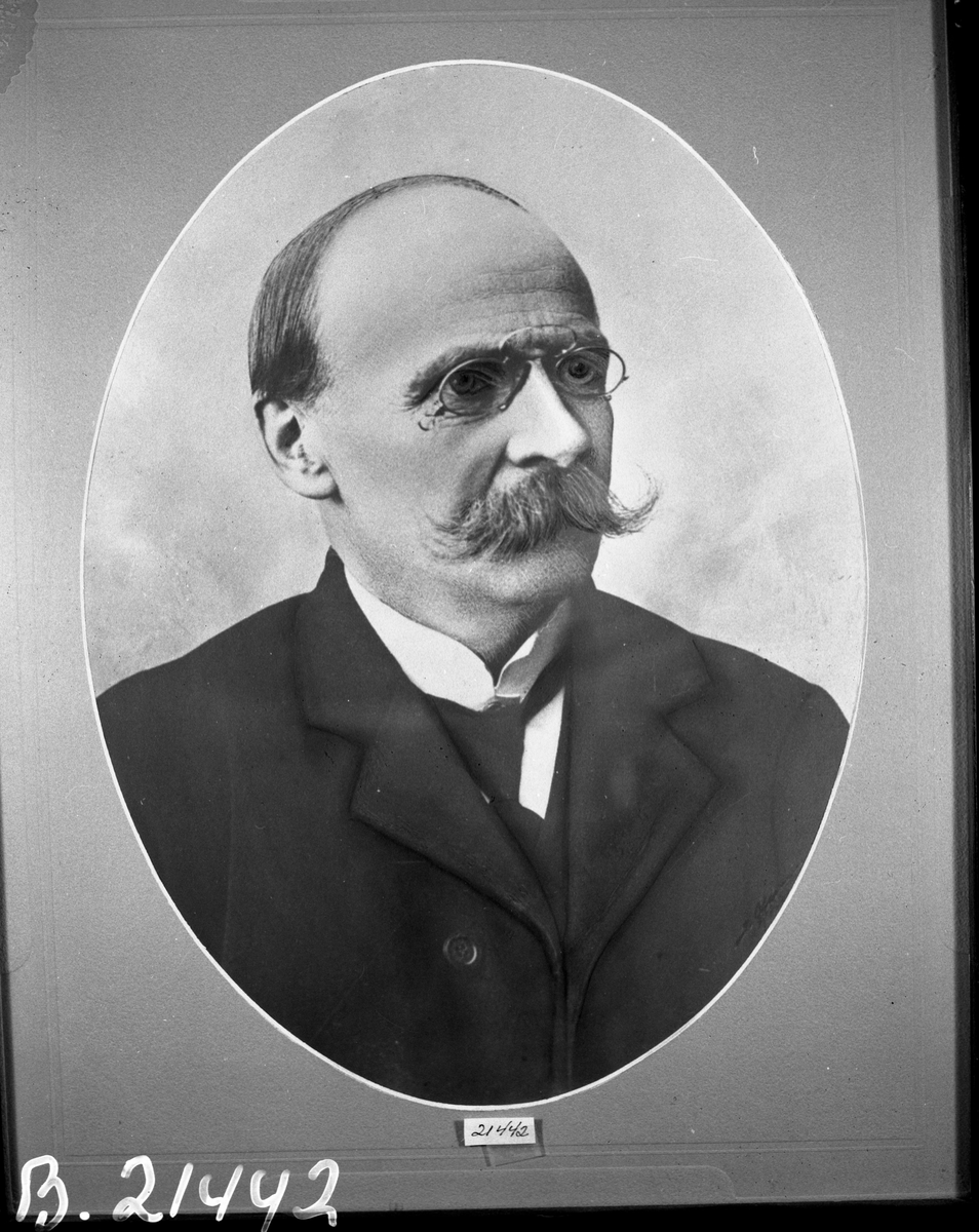 Portrett av lærer Ole Guldal