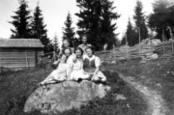 Bilder fra Skålbergsætra