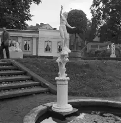 Eldhs-utställningen i Linnéträdgården, Uppsala 1955